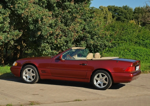 Mercedes-Benz SL cena 80000 przebieg: 115000, rok produkcji 1997 z Warszawa małe 781